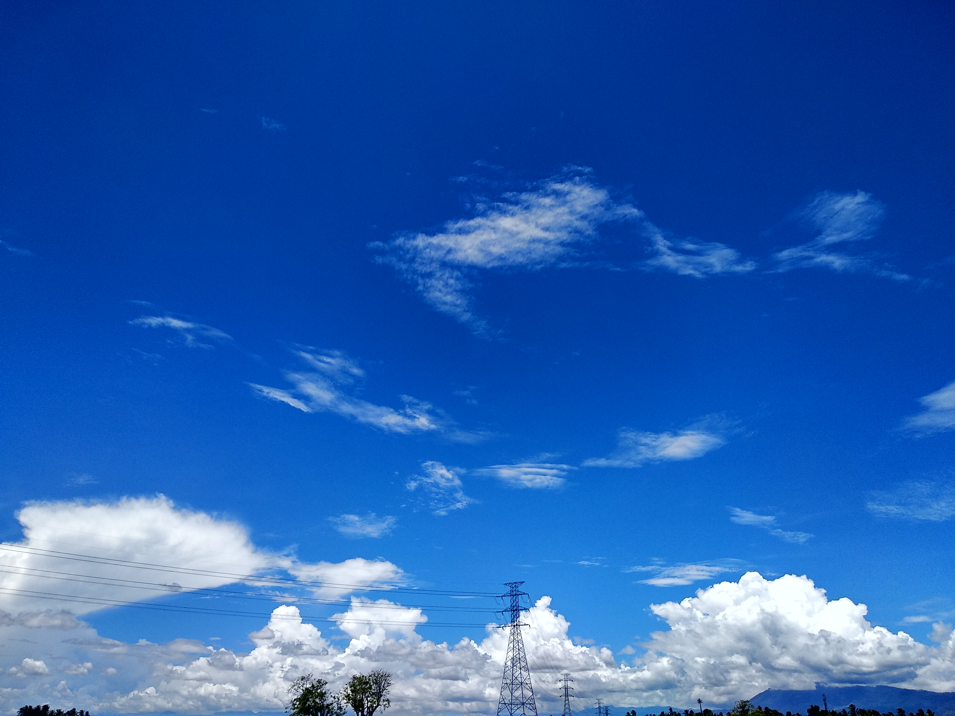 IMG_20210426_121839.jpg