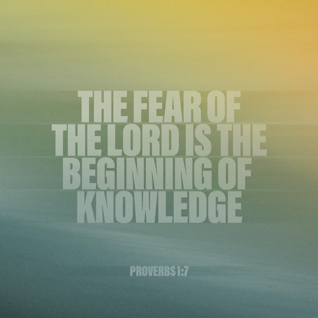 17240_640x640.jpg