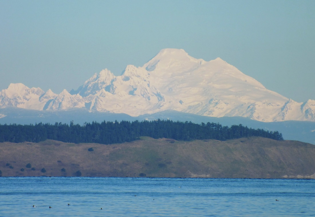 223-MtBaker-140220a.jpg