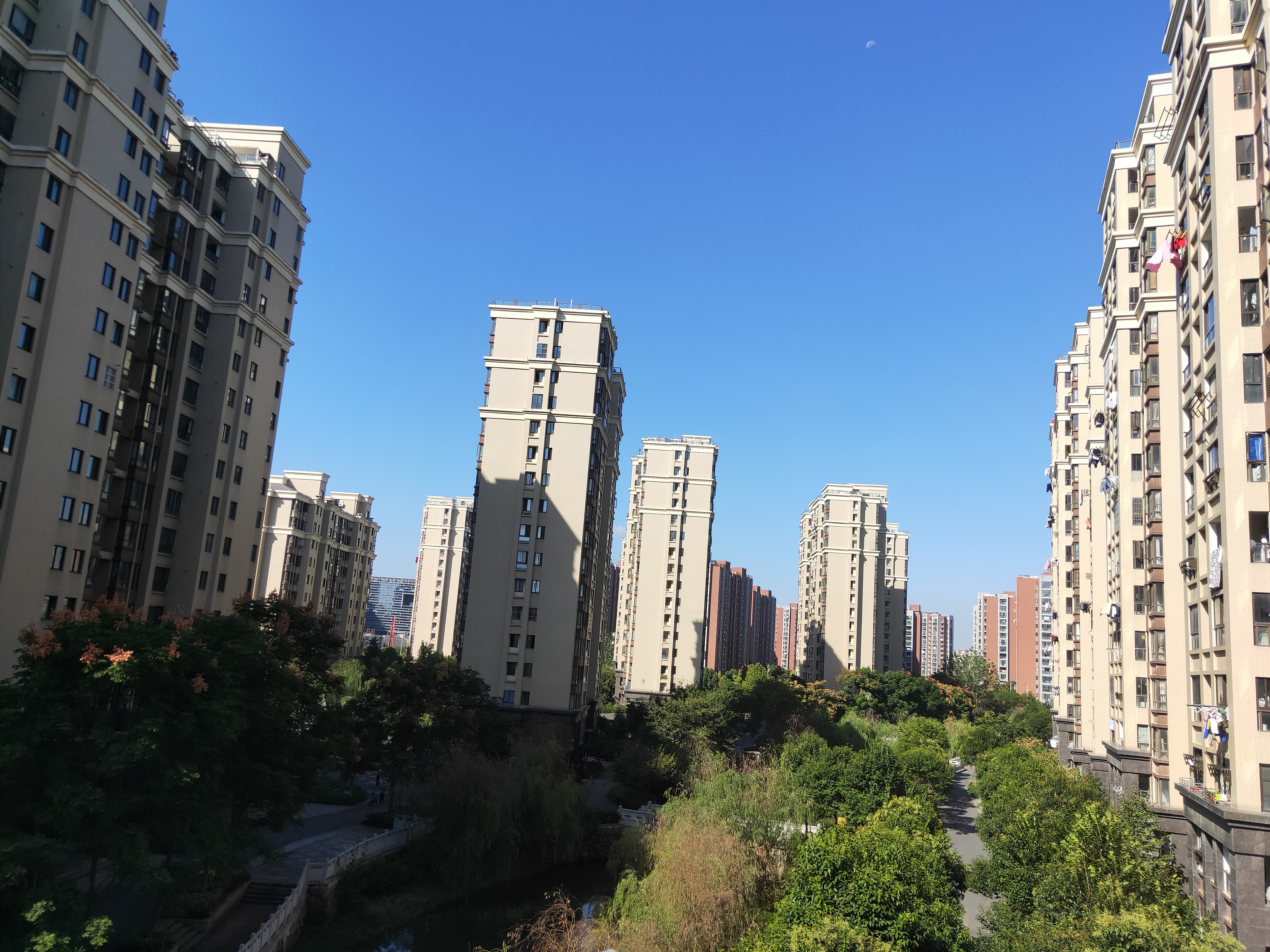 IMG20201009092644.jpg