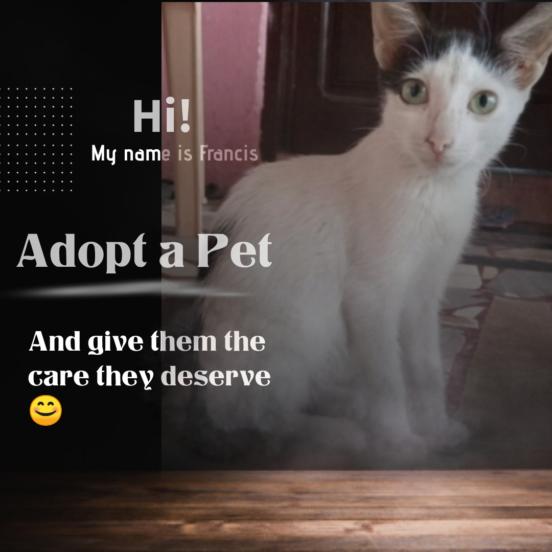 Copy of Dog Adoption Ads - Made with PosterMyWall.jpg