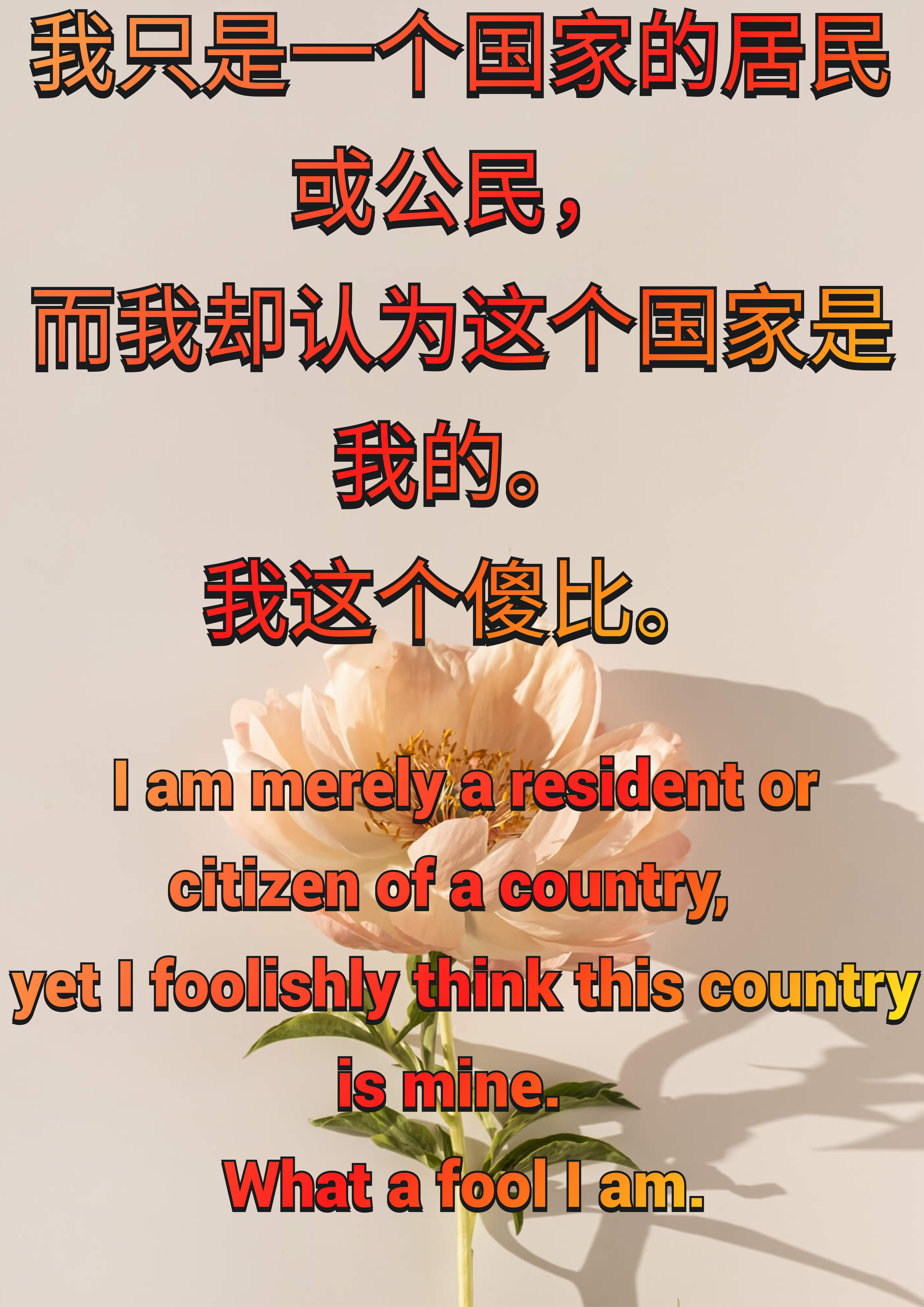 我只是一个国家的居民或公民 (12).png