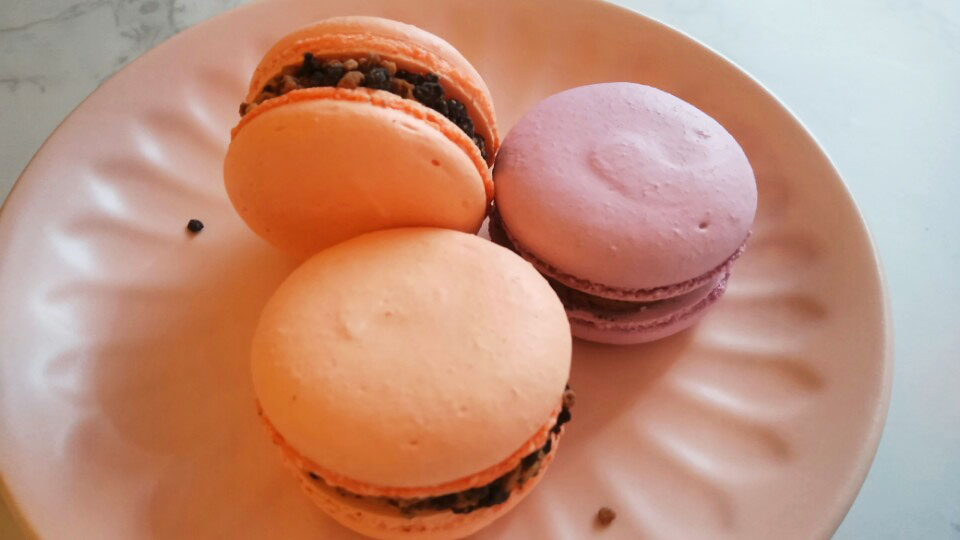 수원 - 디어카롱 (1).jpg