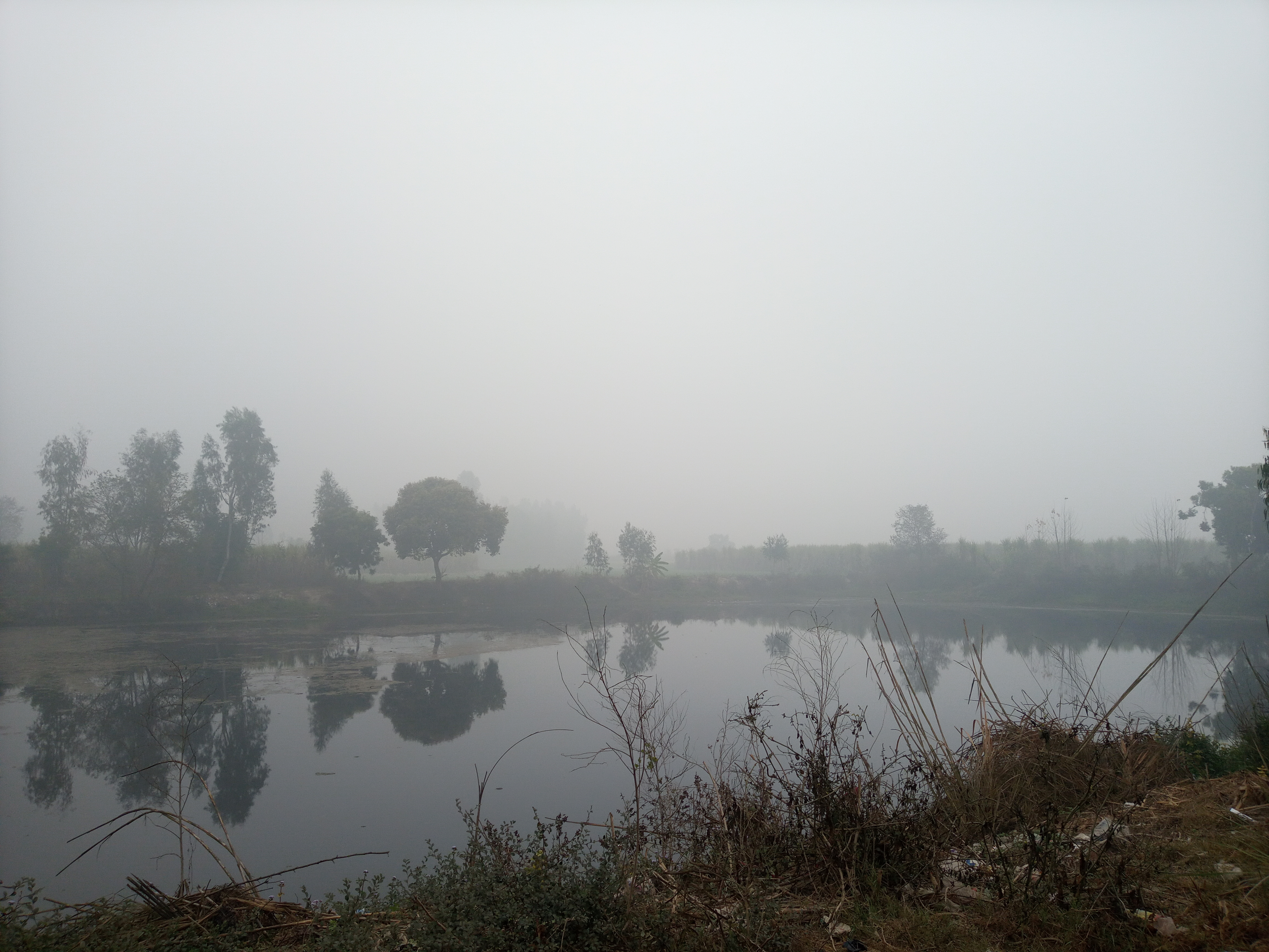 20210124_085137.jpg