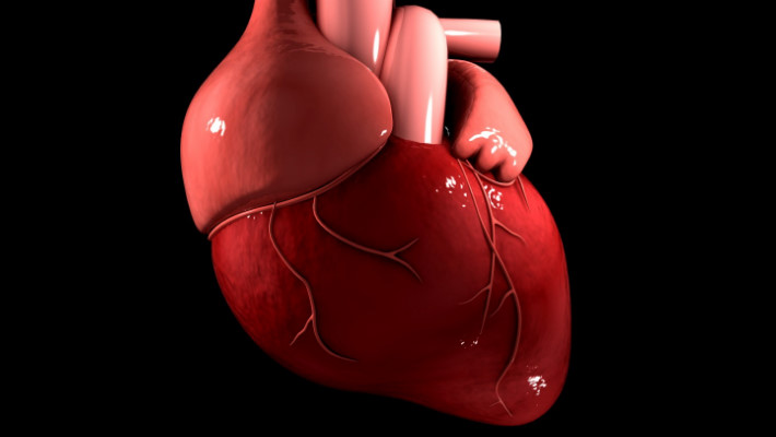 Hrt-109 (1).jpg