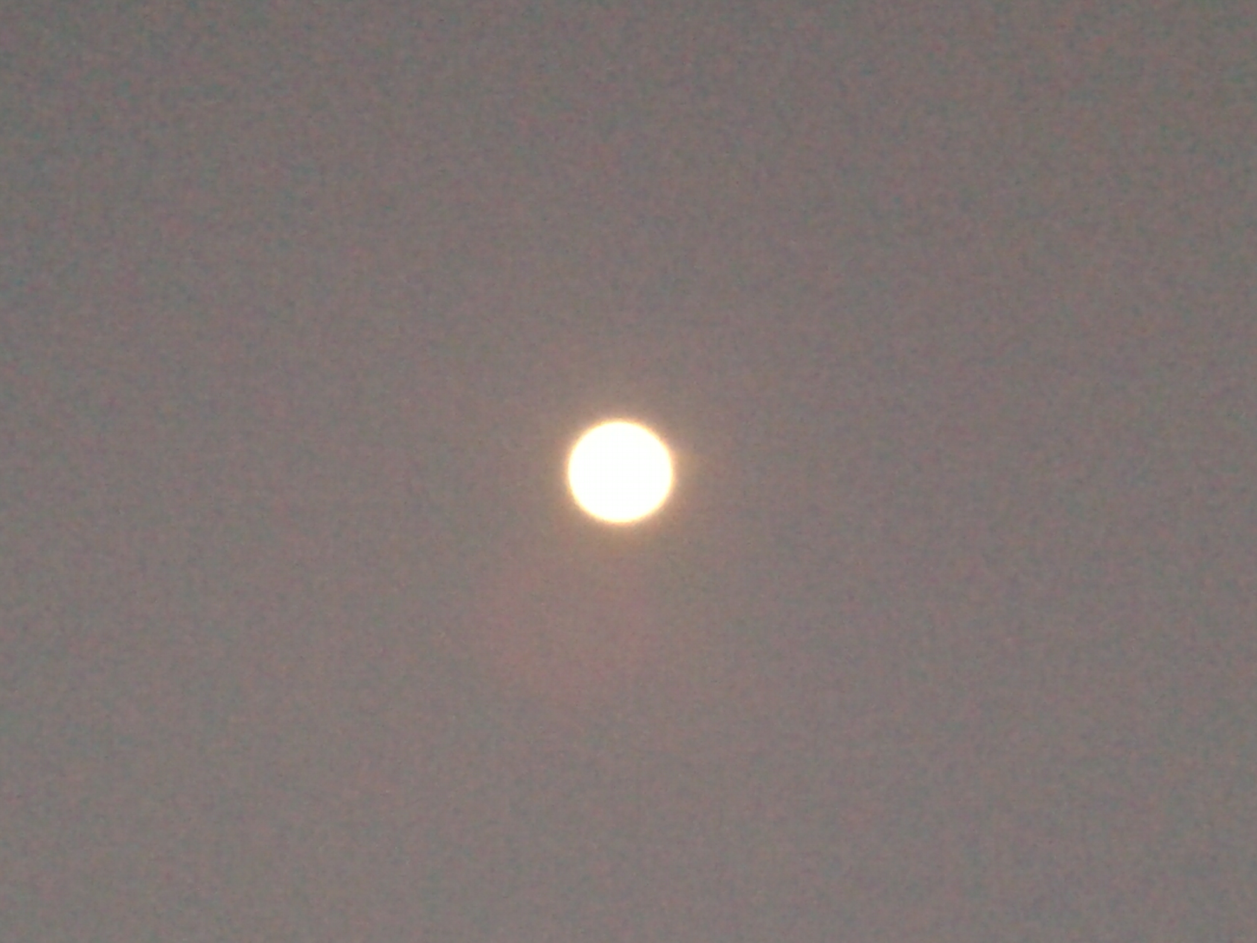 20180327_184426.jpg