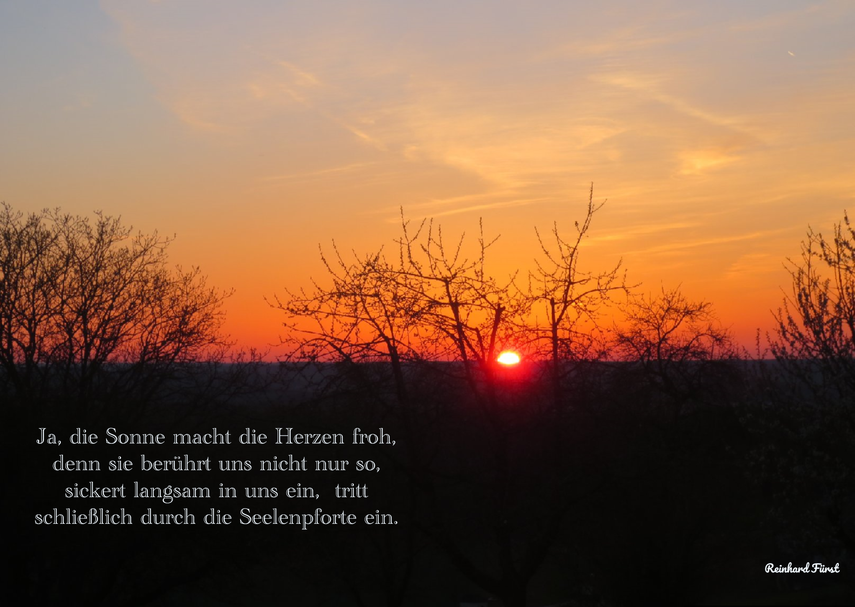 UltimatePhotoEditor_2023_12_09_03_48_38 (2).png