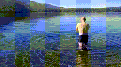 bloggif_62668cd74a5f1.gif