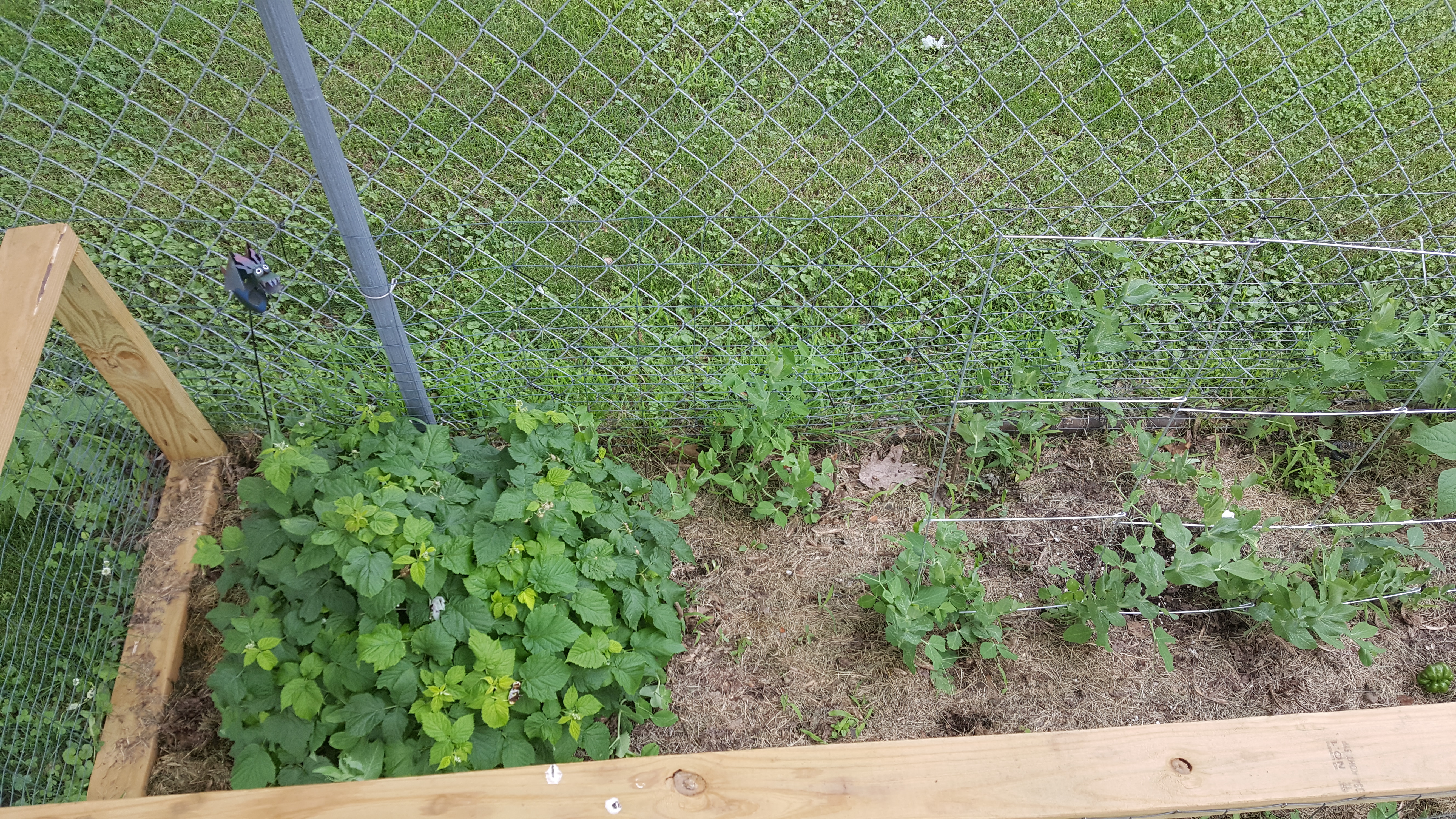 20190628_175208.jpg