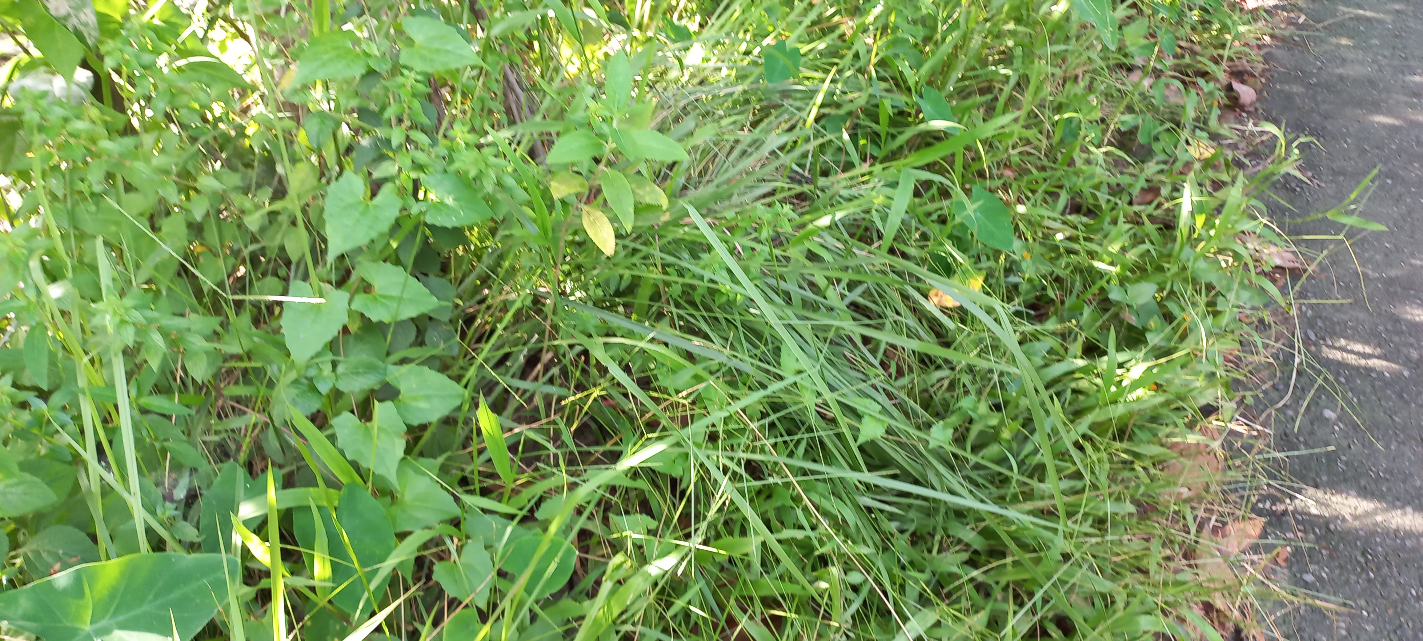 20220915_154125.jpg