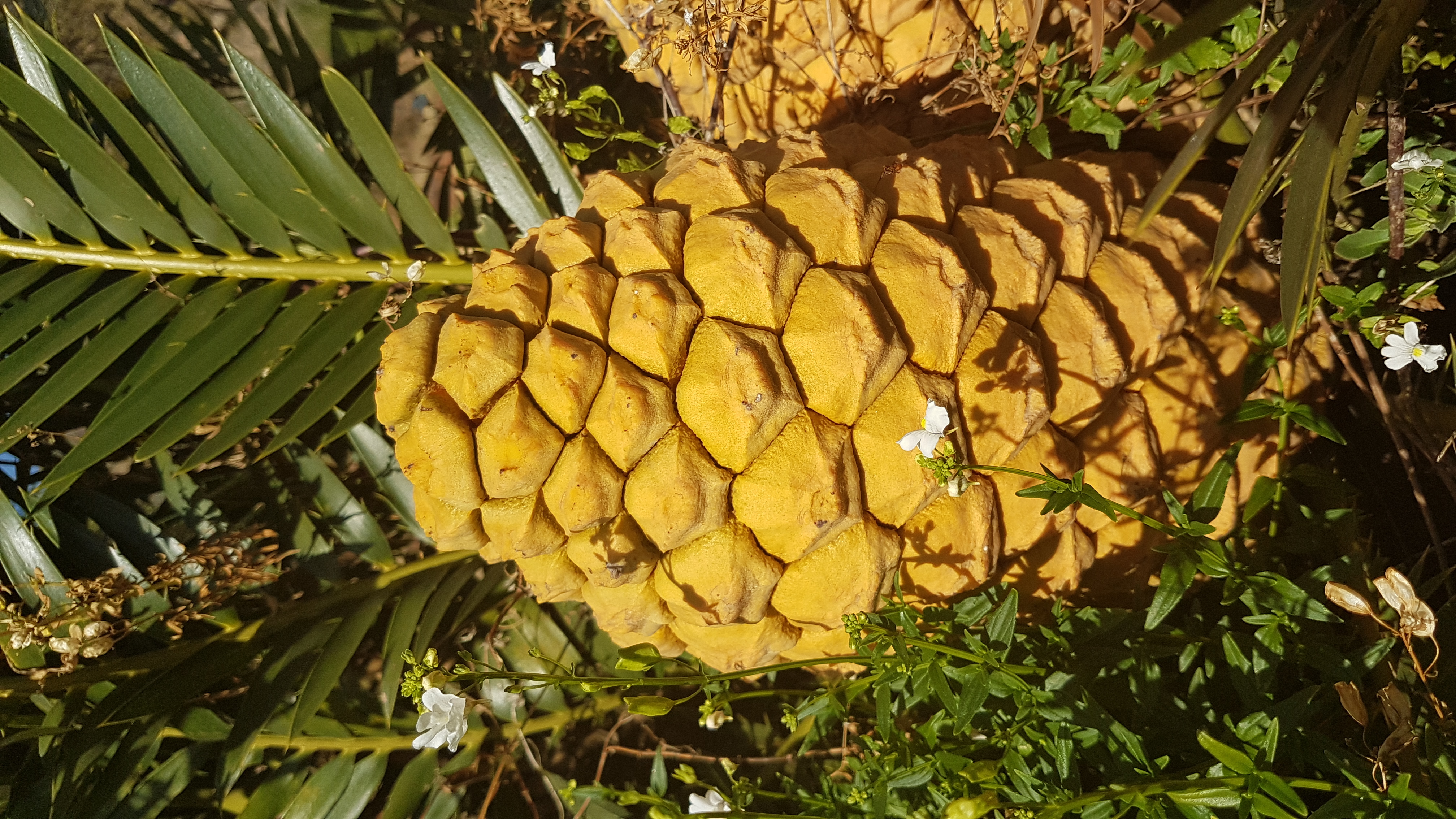 20180625_113833.jpg