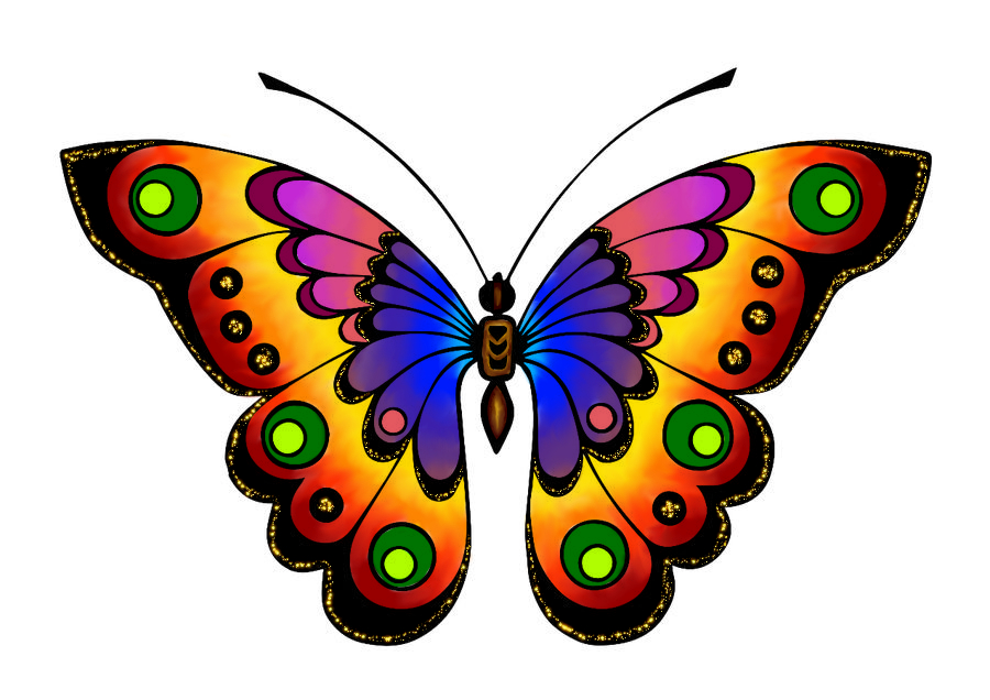 butterfly images for colouring