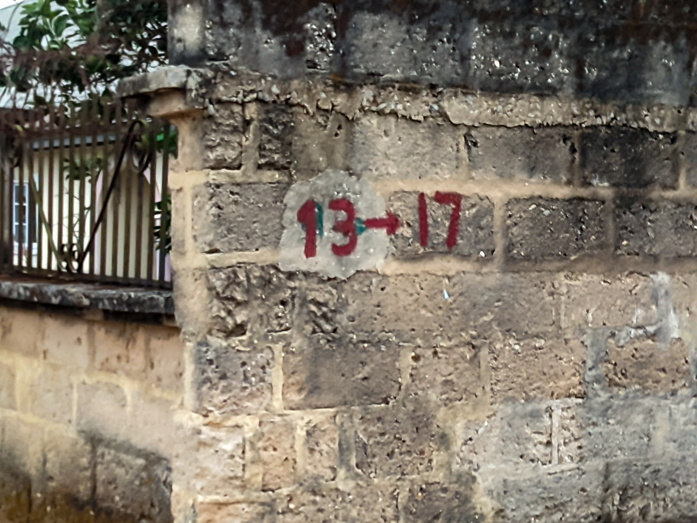 1001813049.jpg