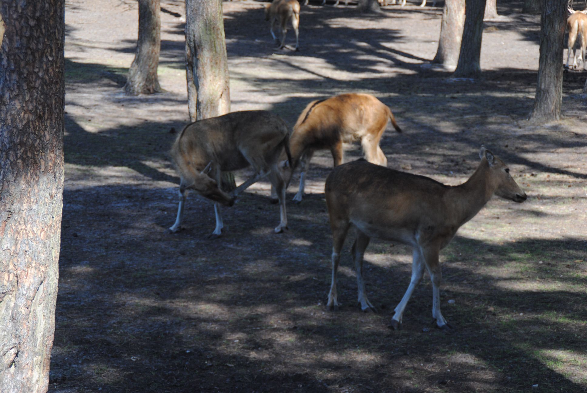 image025.jpg
