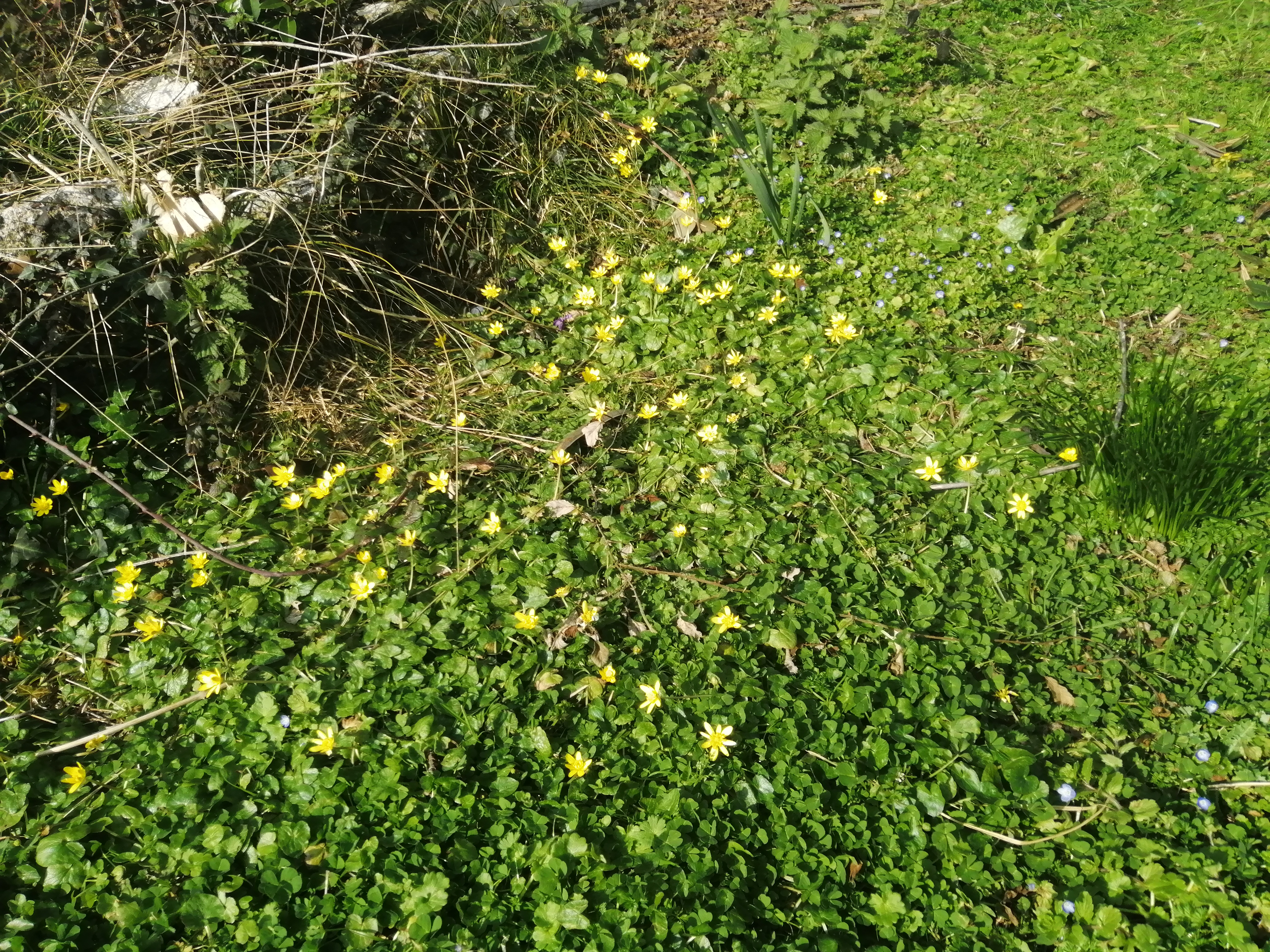 IMG_20230301_143515.jpg
