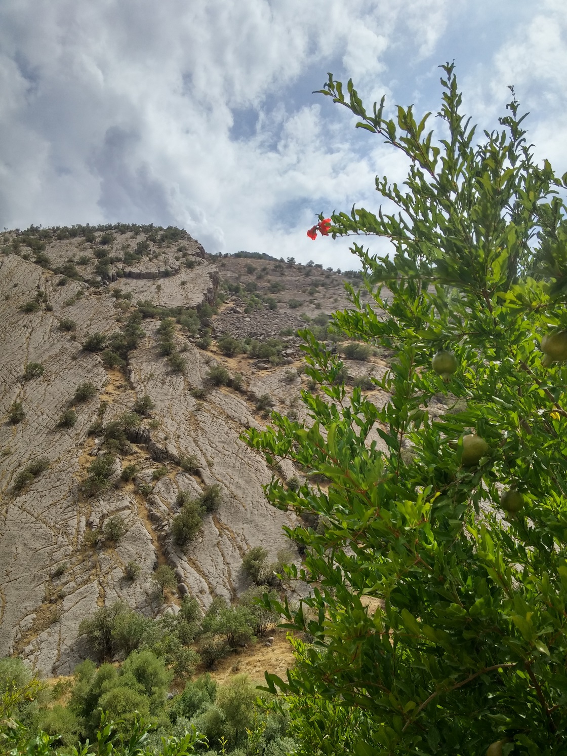 20150724_150629_HDR.jpg