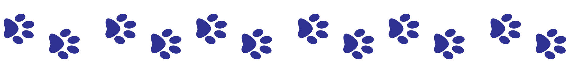 Div_2_Paws.png
