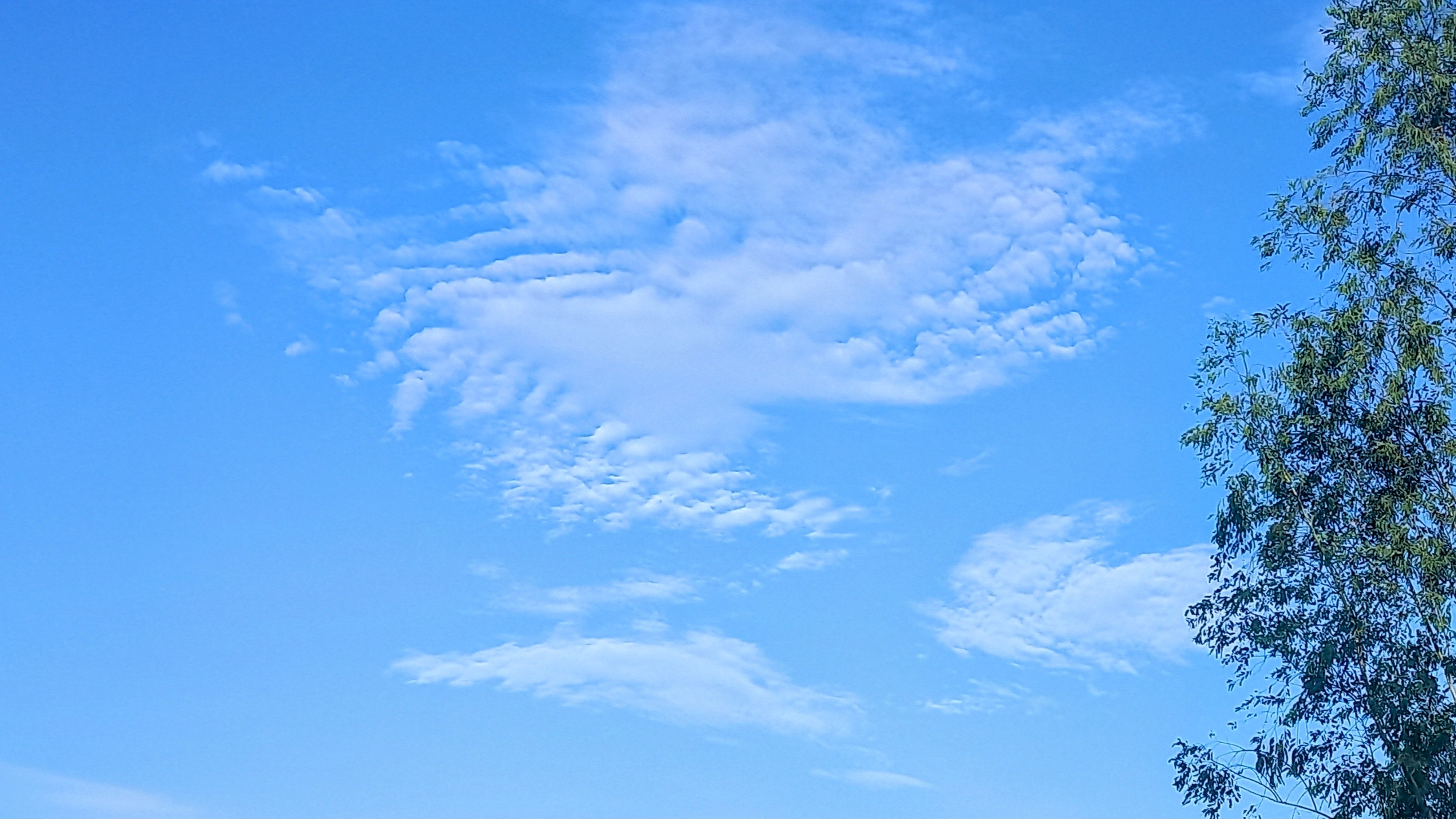 20240622_173406~2.jpg