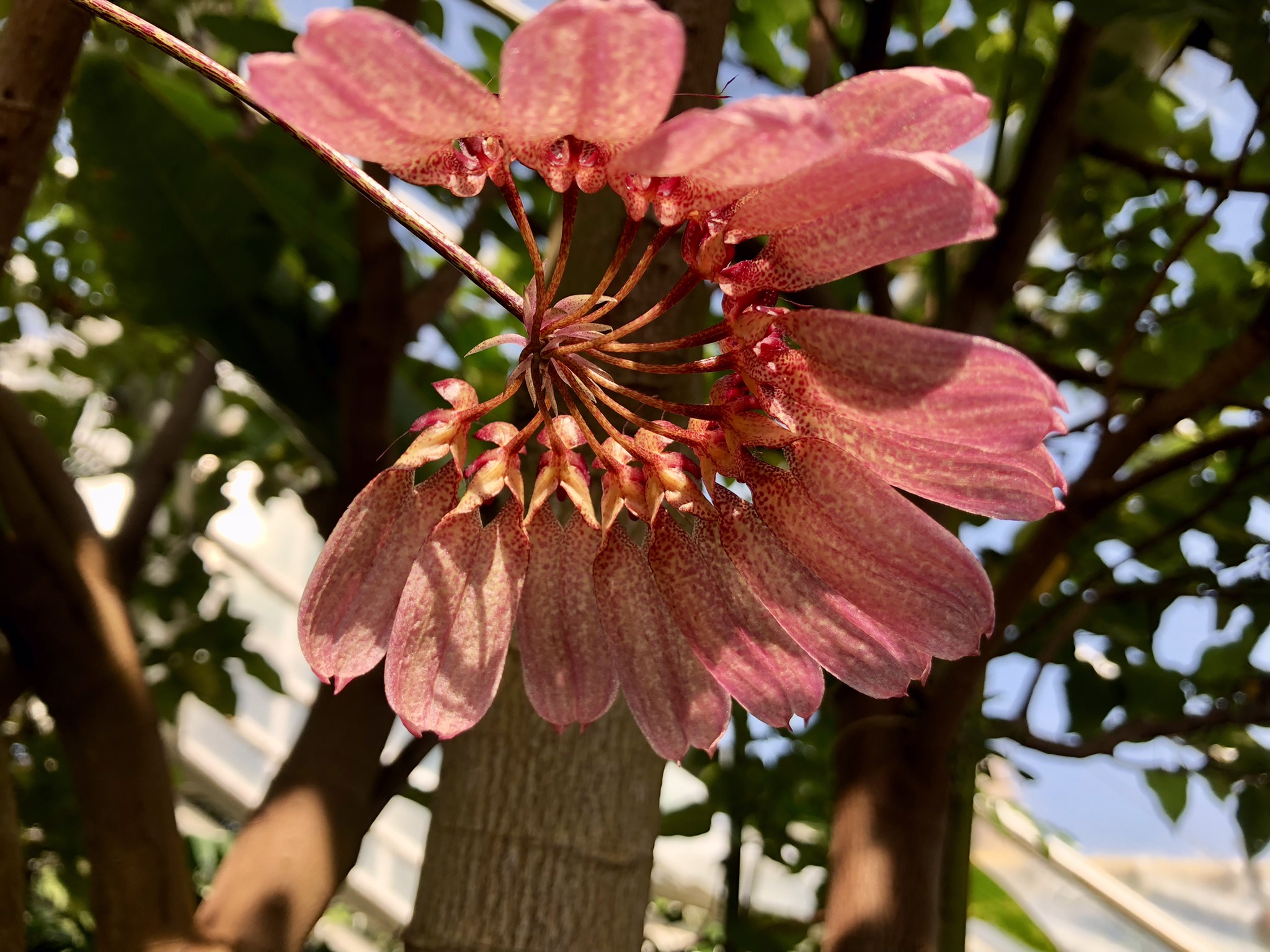 BD176780-2D01-463B-9C78-A8D59AB5F225.jpeg