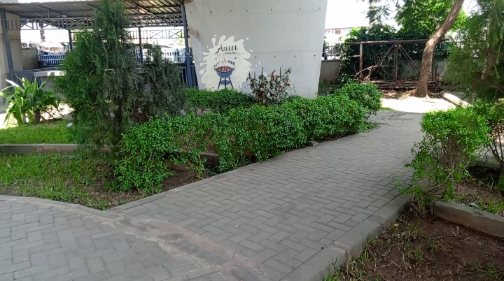 1000529309.jpg