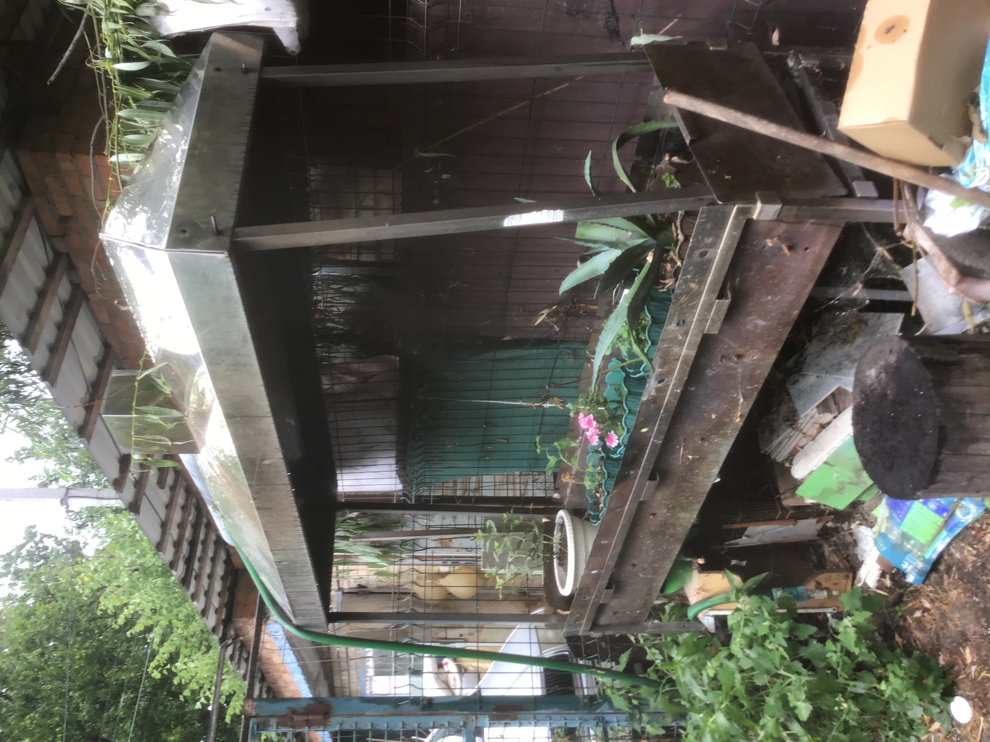 IMG_6079.jpeg
