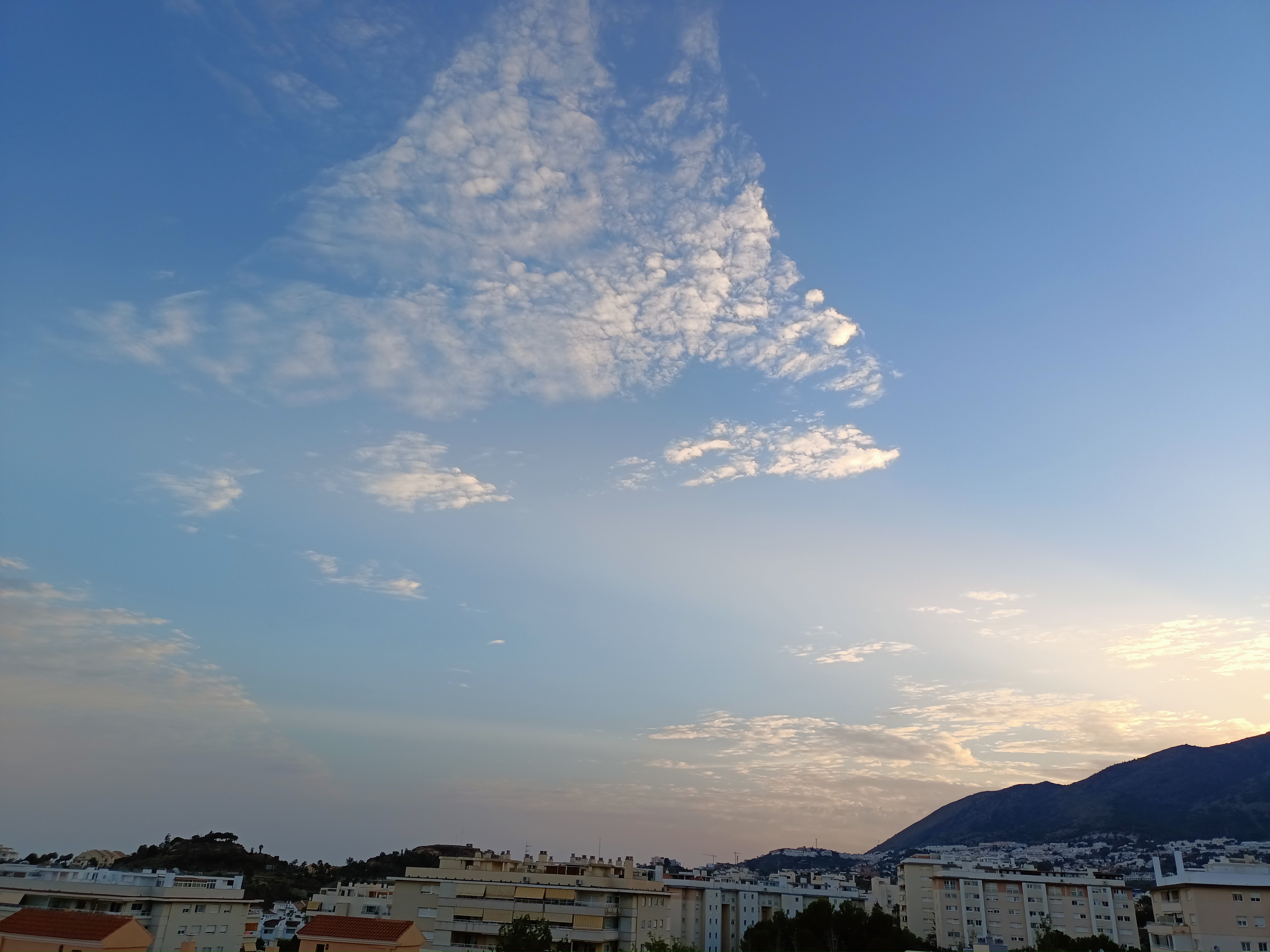 IMG20230617211610.jpg