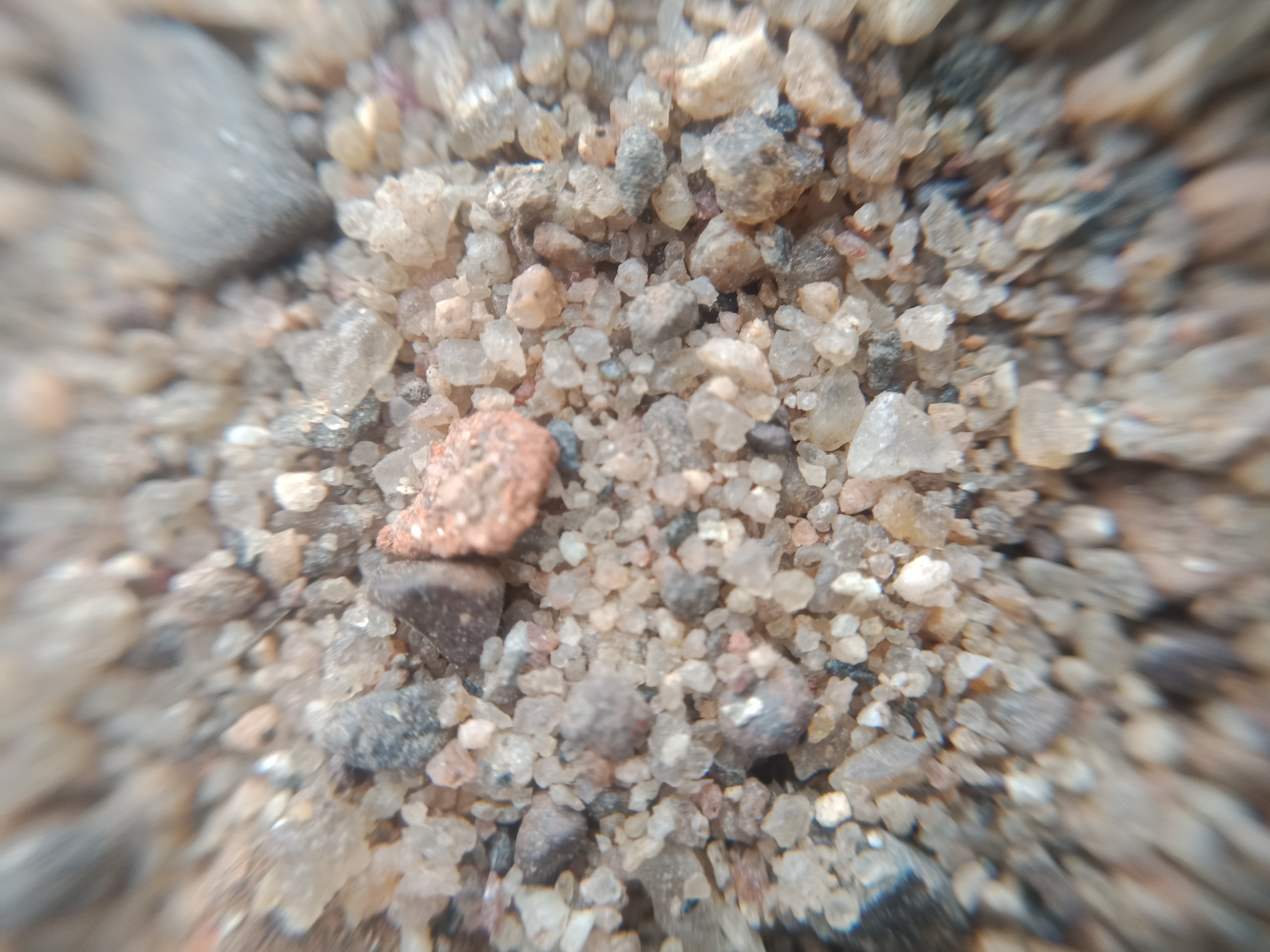 IMG20190619171059.jpg