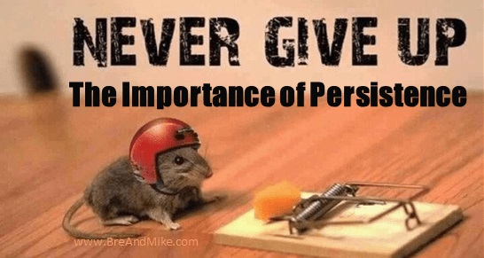 peseverance.jpg