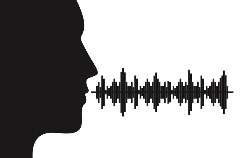 voice.jpg.824x0_q71_crop-scale.jpg