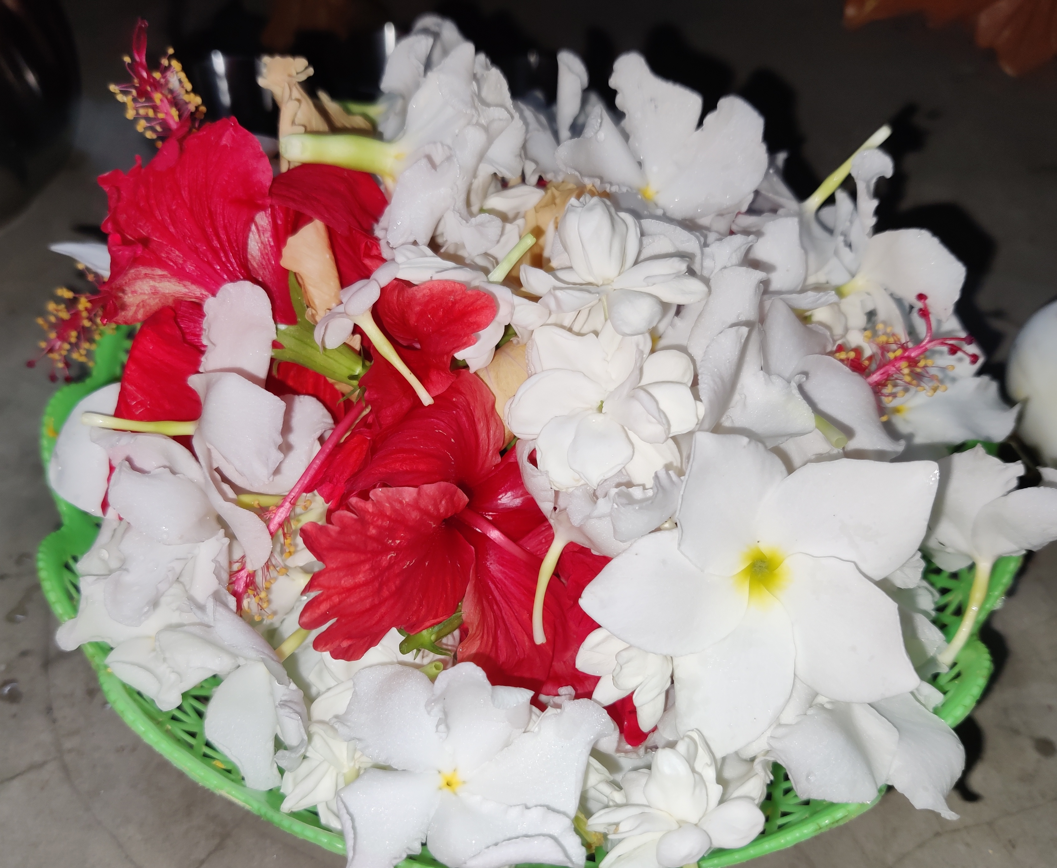 IMG_20260630_210610.jpg