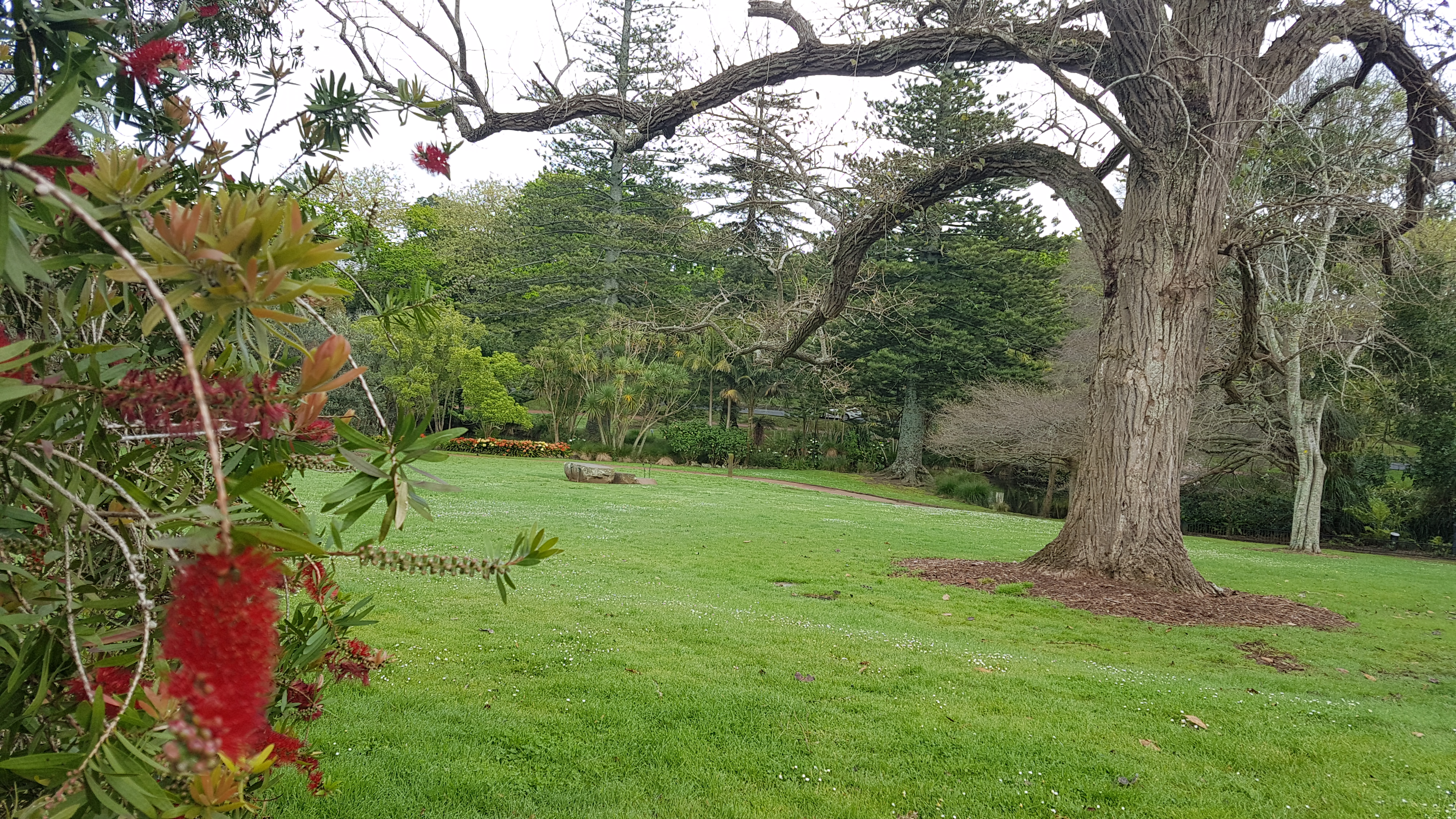 20181004_020938.jpg