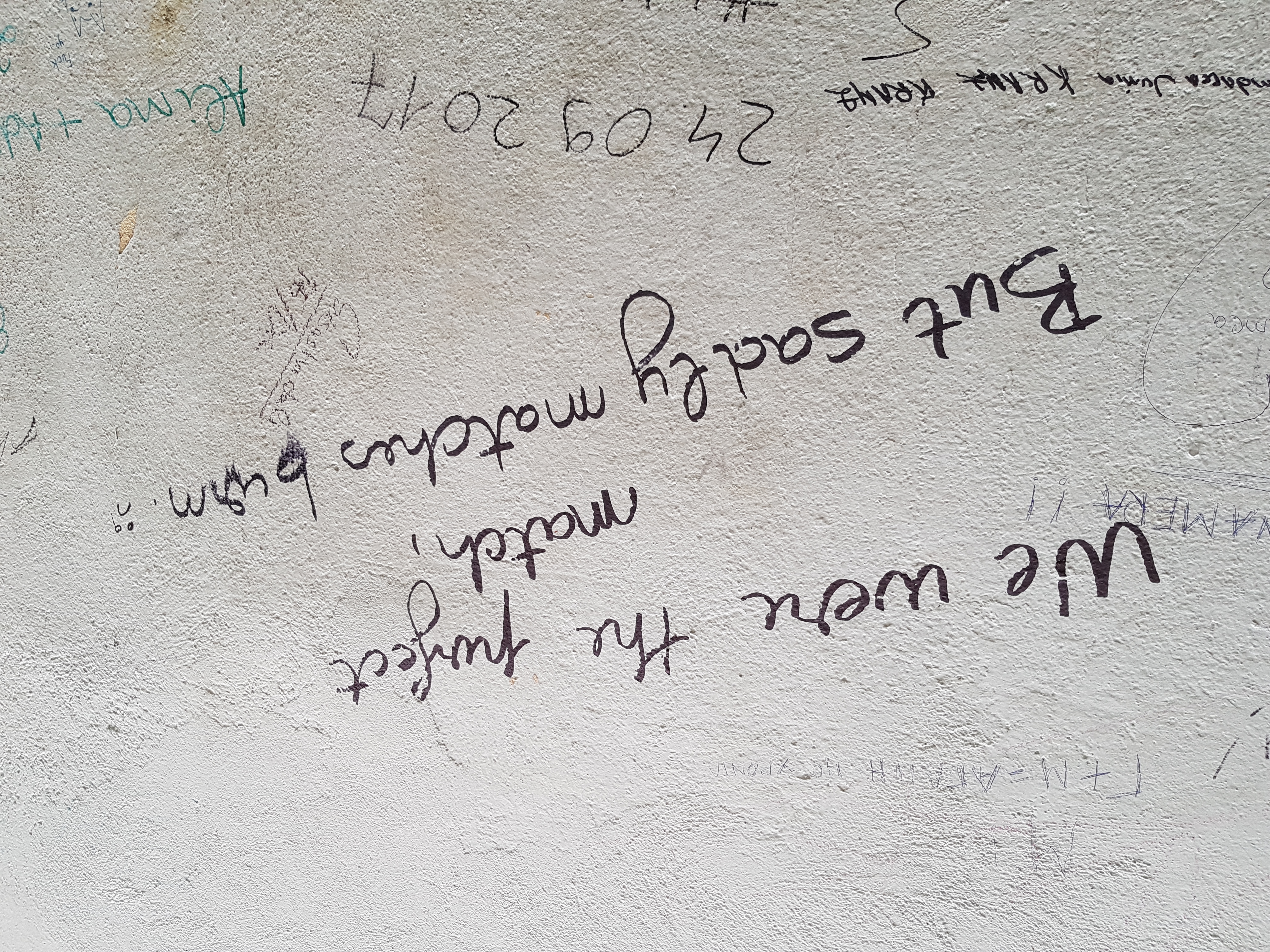 20180723_192045.jpg