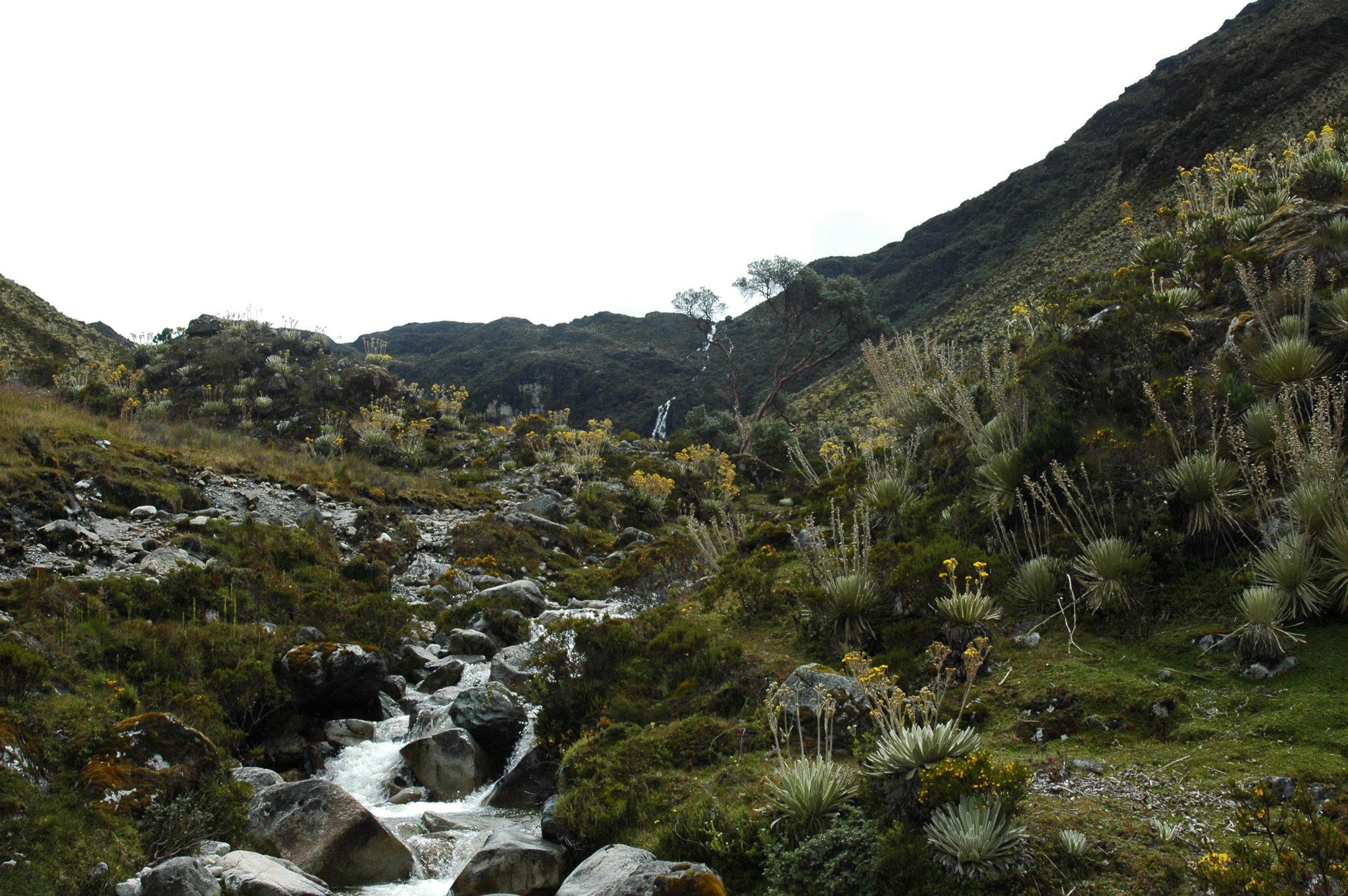Treking6.jpg