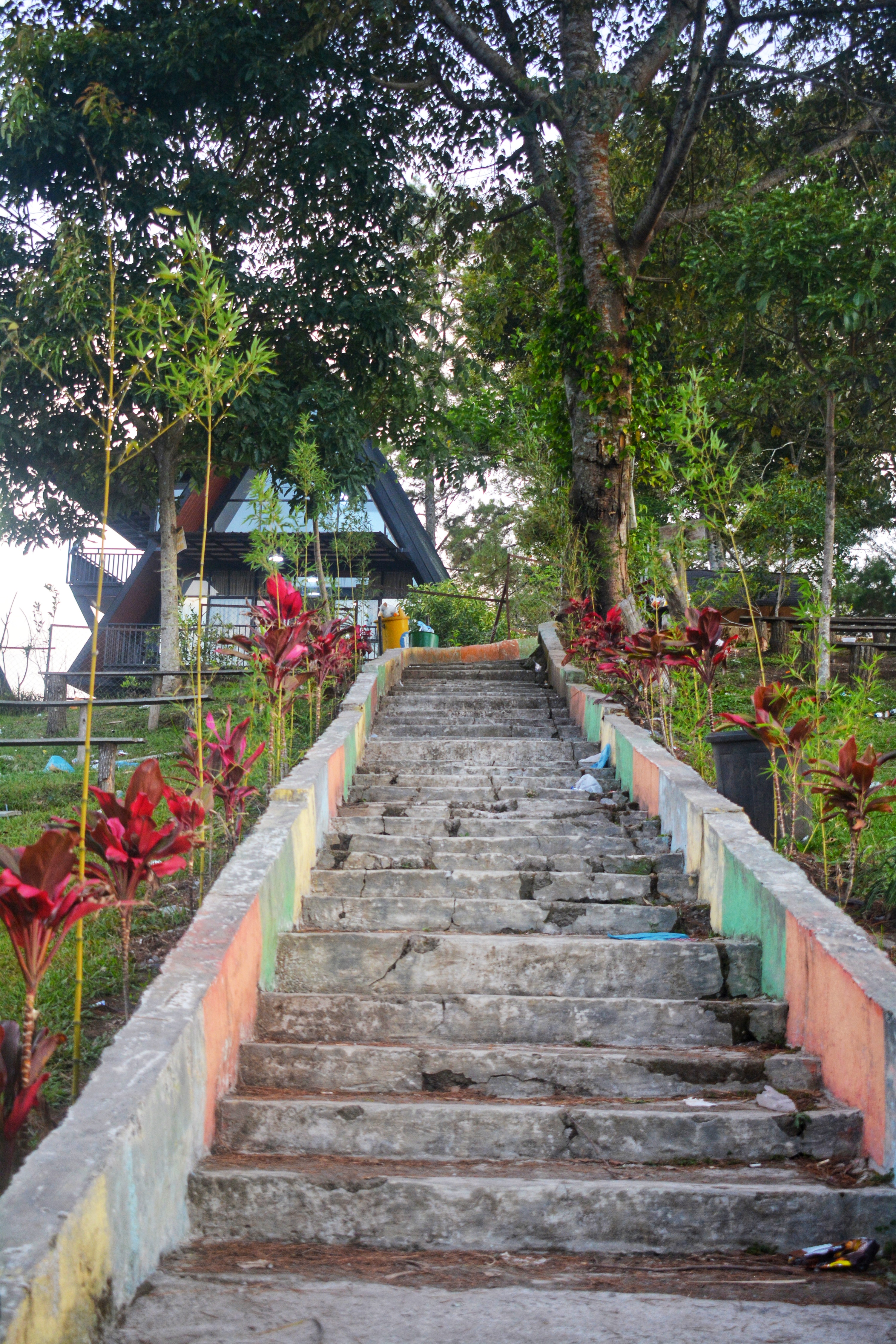 DSC_0152-01.jpeg