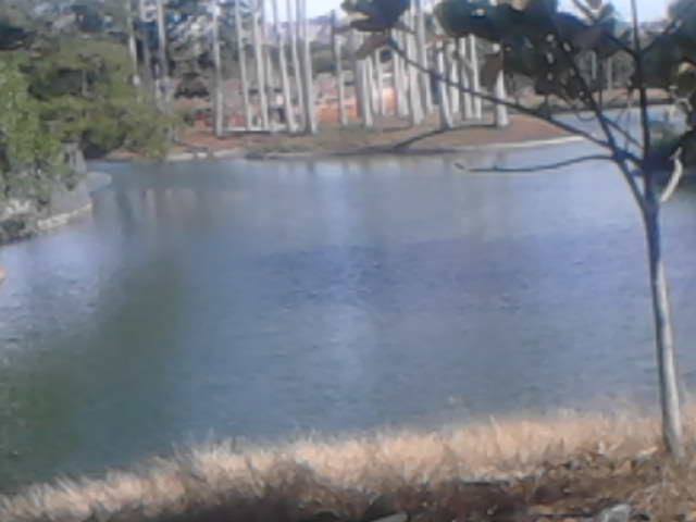 parque miranda 4.jpg