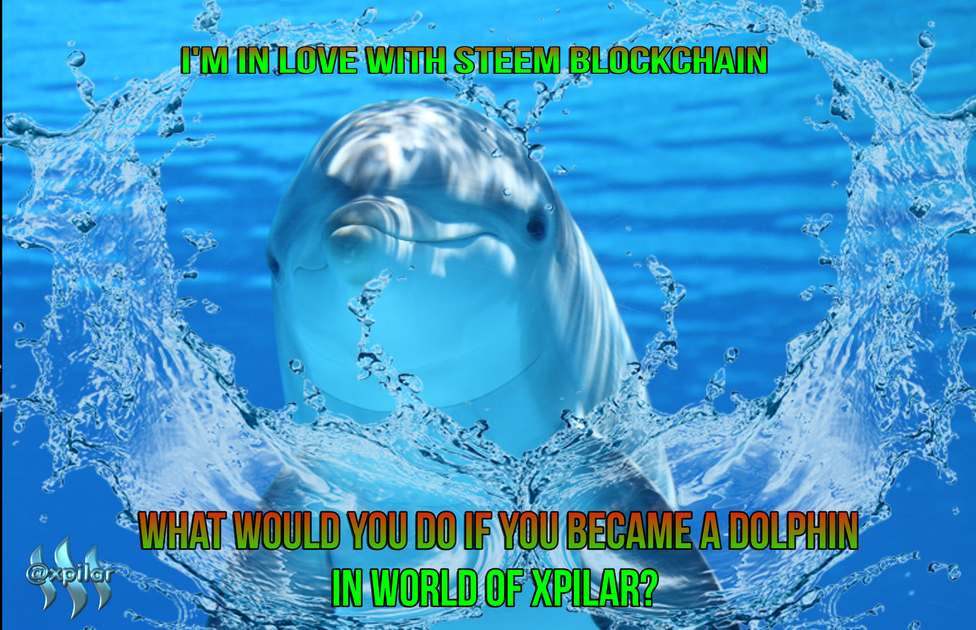 bli en delfin.png