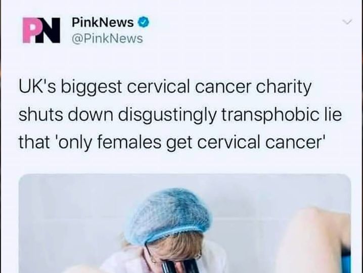 pink0.jpg
