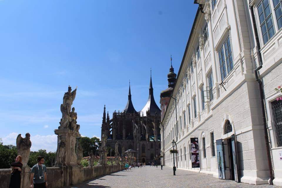 _IMG_1541620467619.jpg