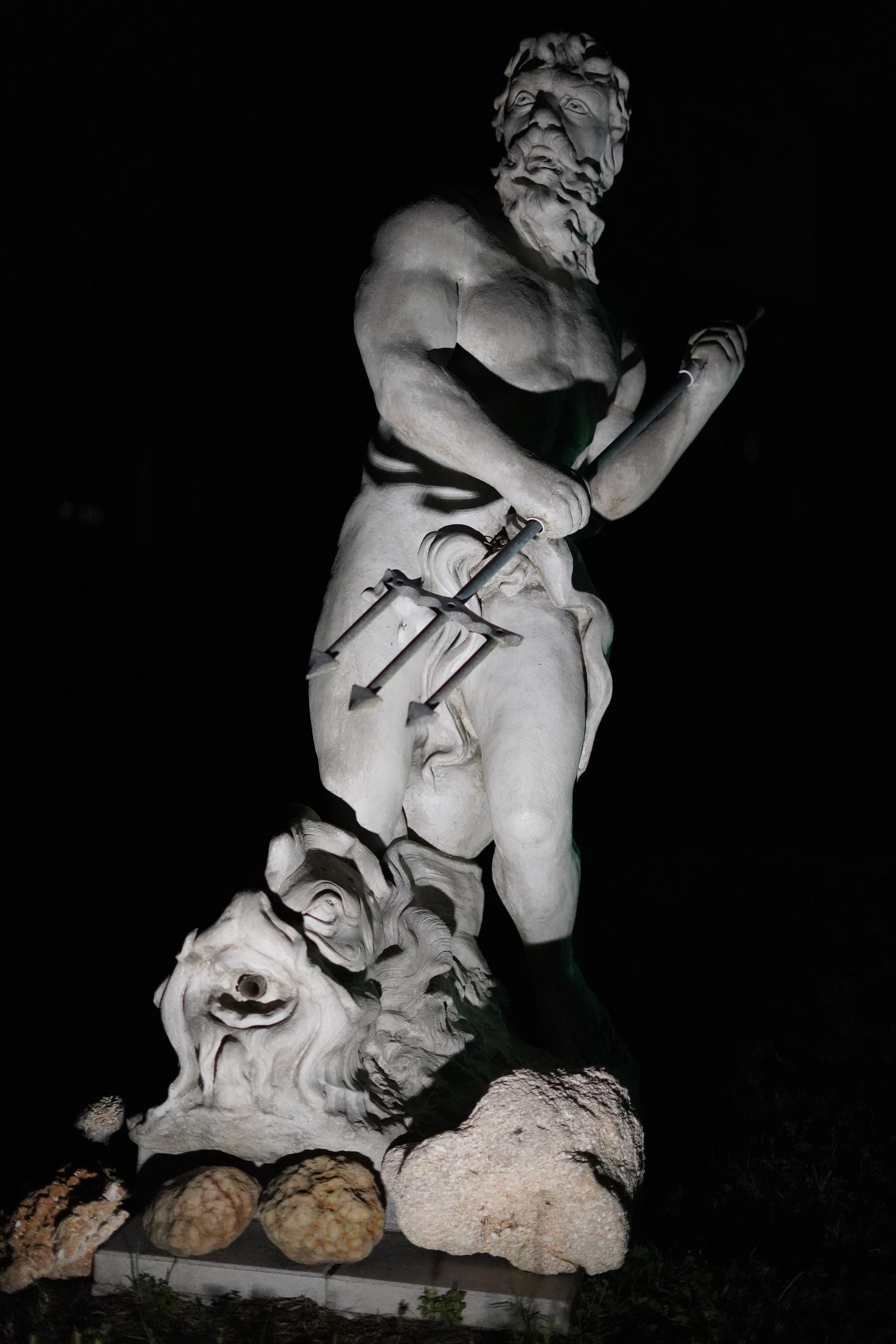 DSC07142.jpg
