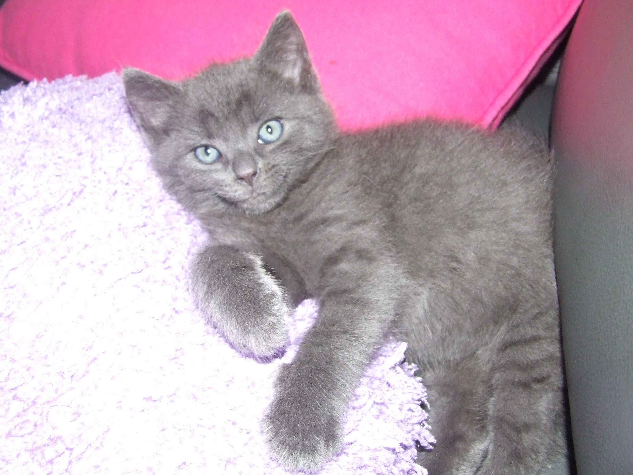DSCF3606.JPG