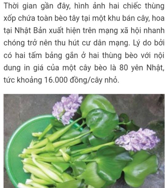 beo tay 3.jpg