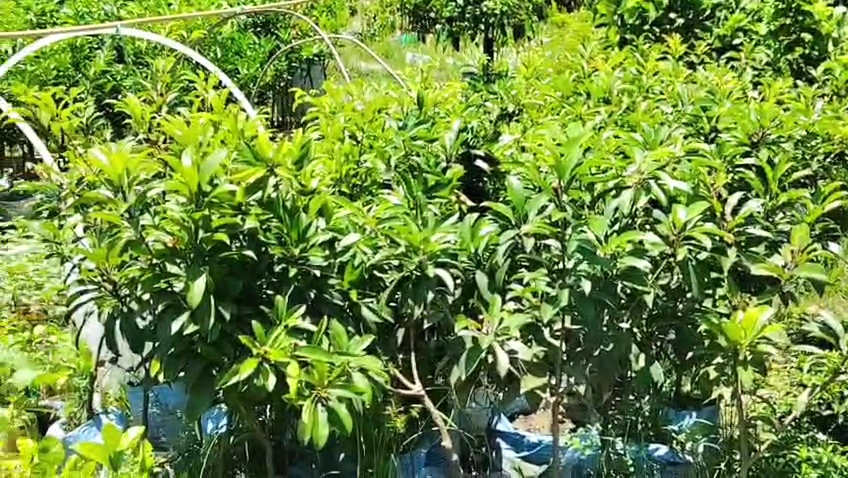VideoCapture_20260816-181345.jpg