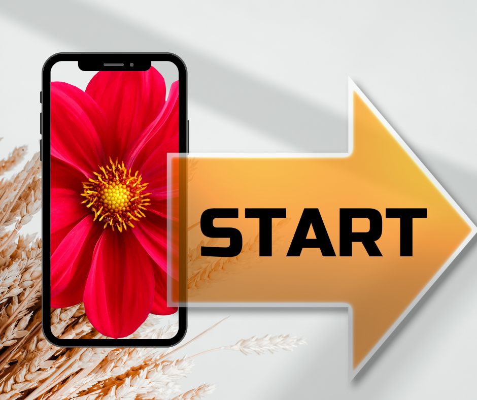 start, копия, копия.png