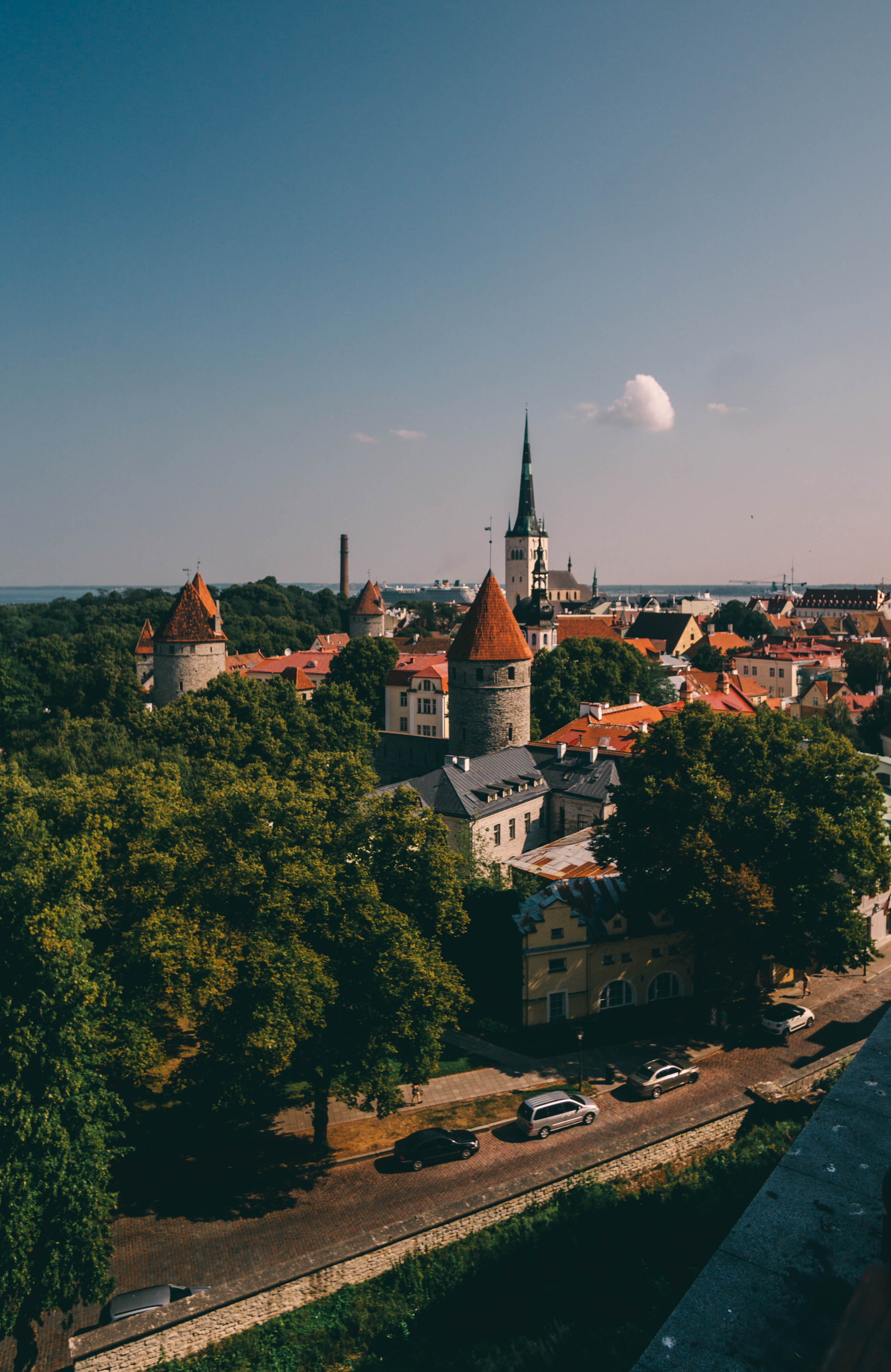 _DSC2455 - Kopie.jpg
