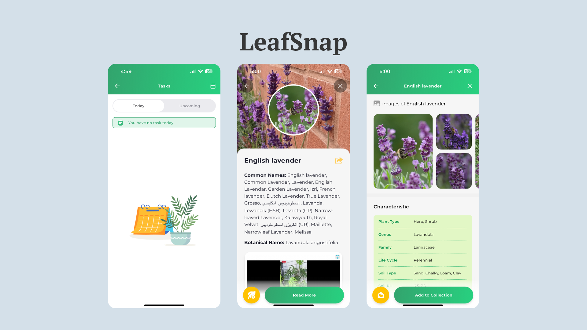 LeafSnap.png