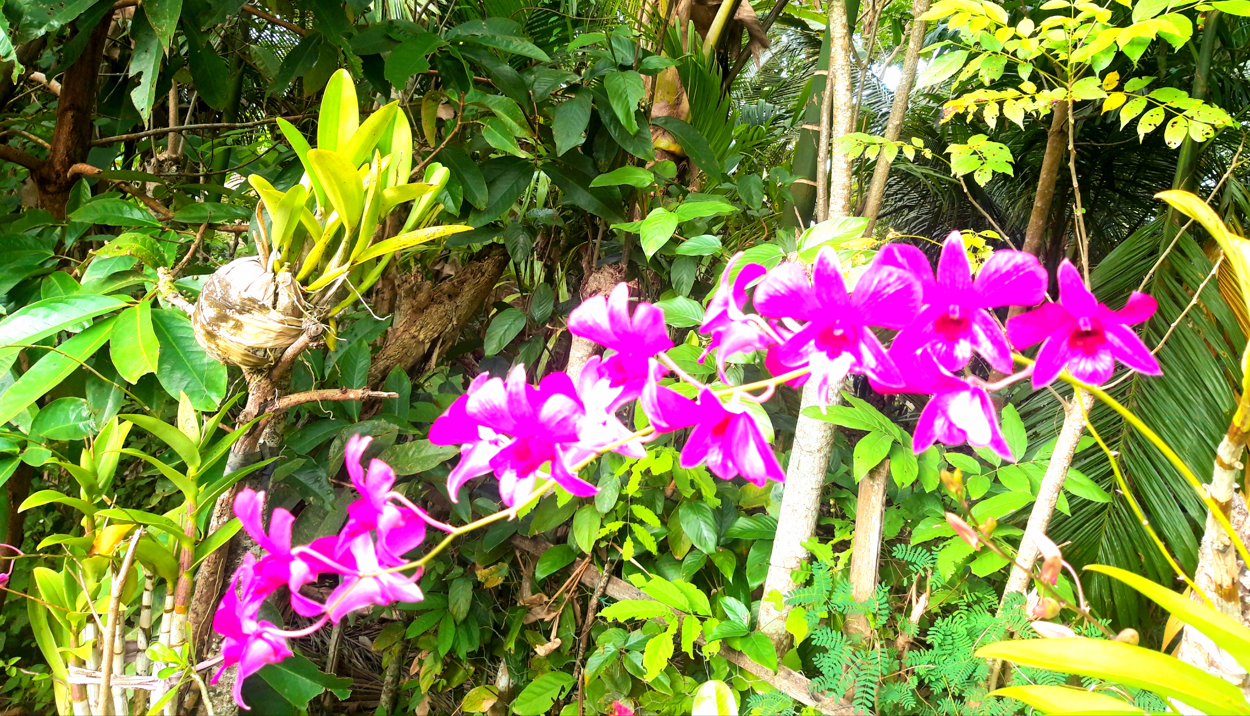 20220801_090005.jpg