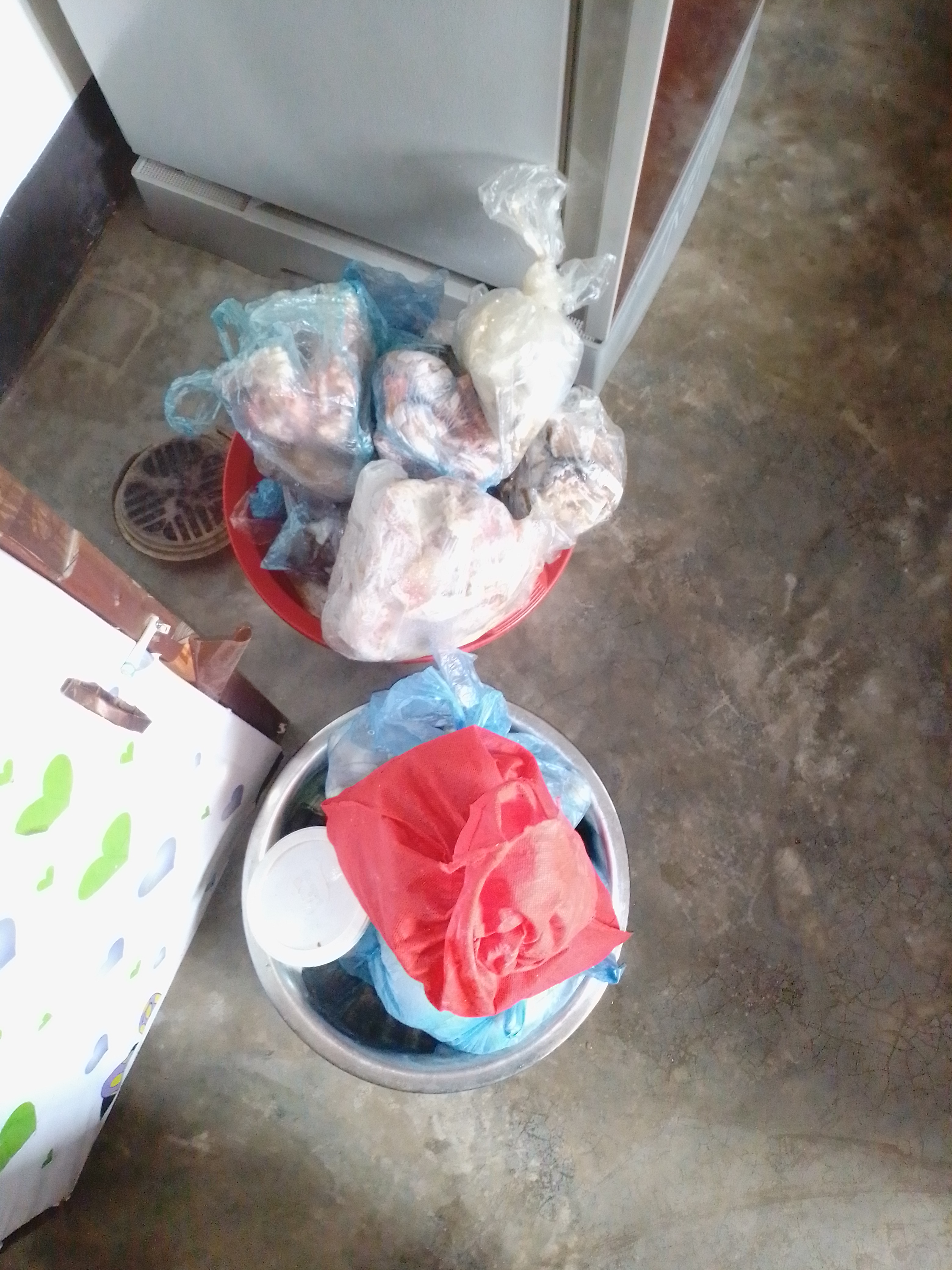 IMG_20201006_133500.jpg