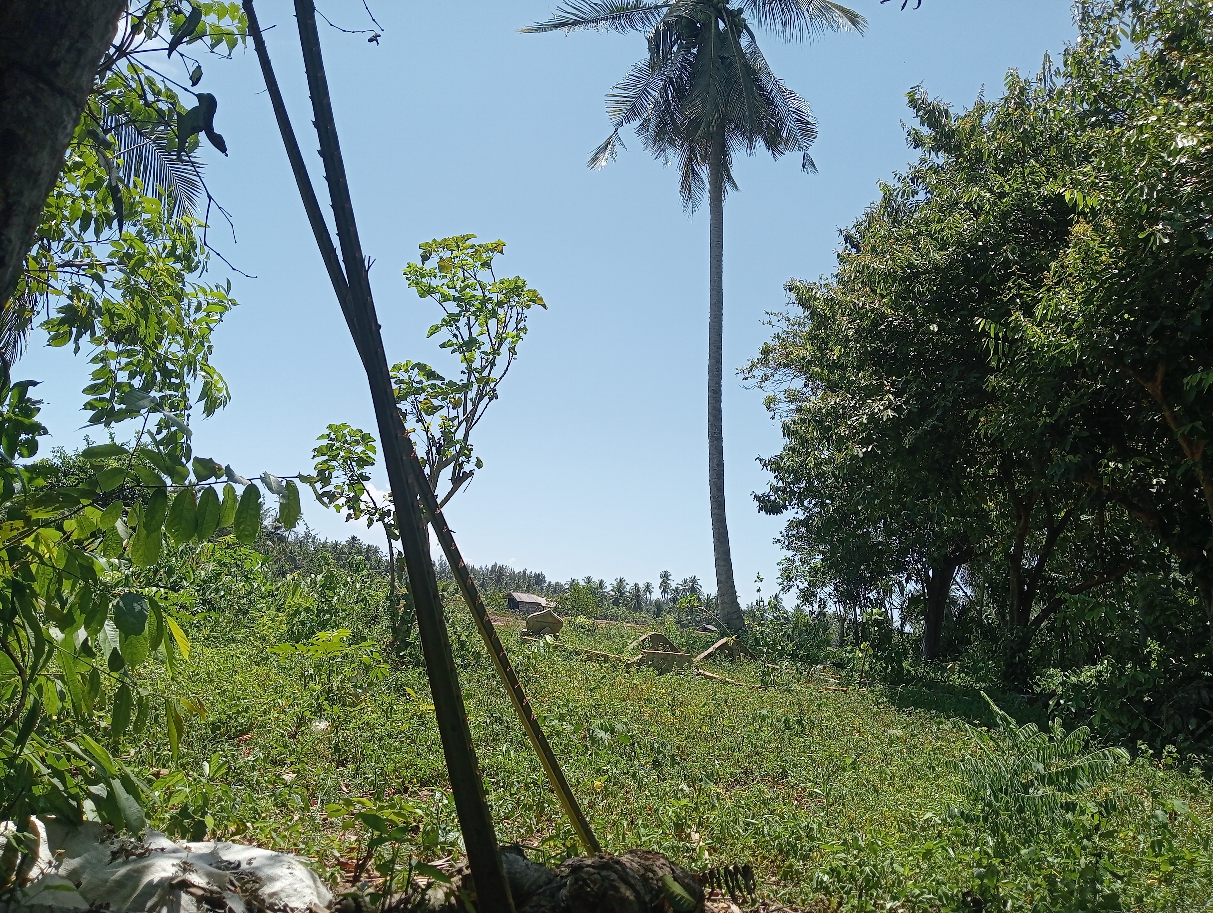 IMG20260528115729.jpg