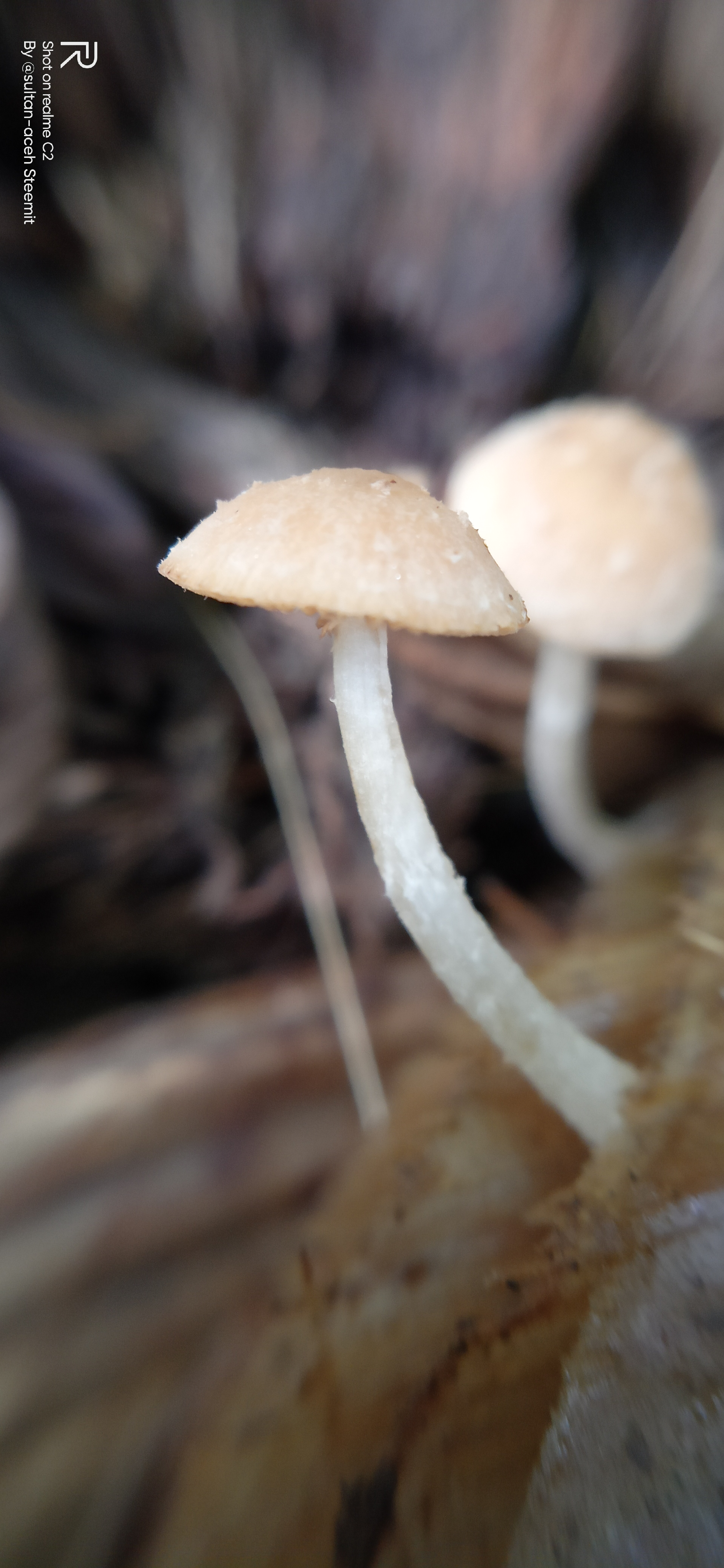 IMG20221002165330.jpg