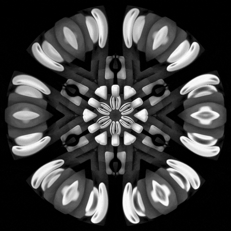 Comp_1.gif